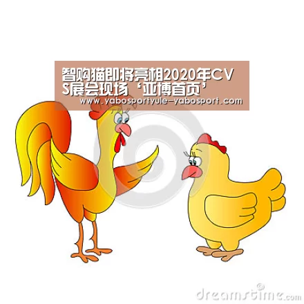 智购猫即将亮相2020年CVS展会现场‘亚博首页’(图2) 亚博娱乐